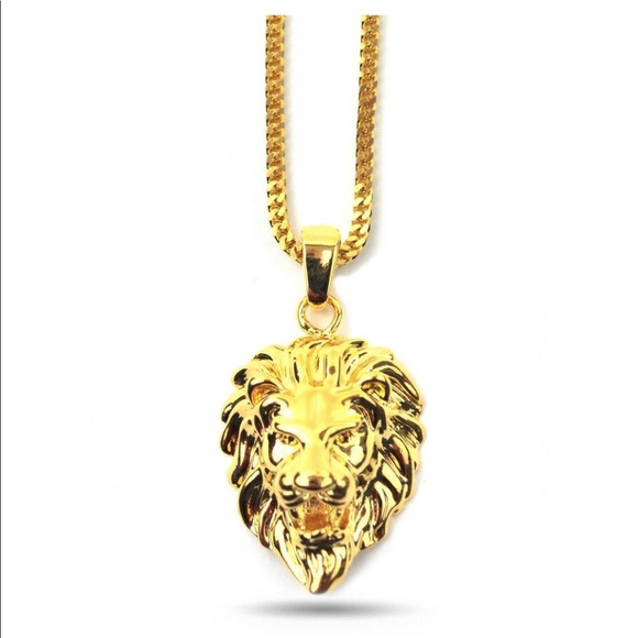 Jewelry Necklace Men Gold 18k With Lion Medallion 28 Poshmark